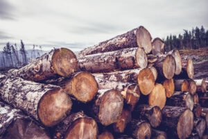 logs against a gloomy sky